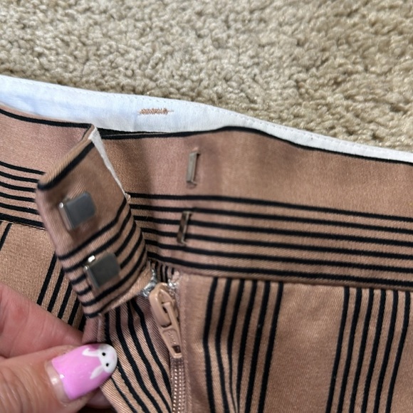 Worthington Iva Stripe Slim Ankle Pants Women Sits Lower On Waist Size 16 - Picture 5 of 7